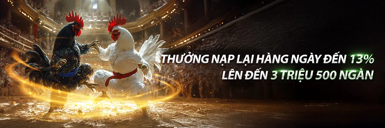Hình ảnh tổng quan nền tảng 66king88 nhà cái