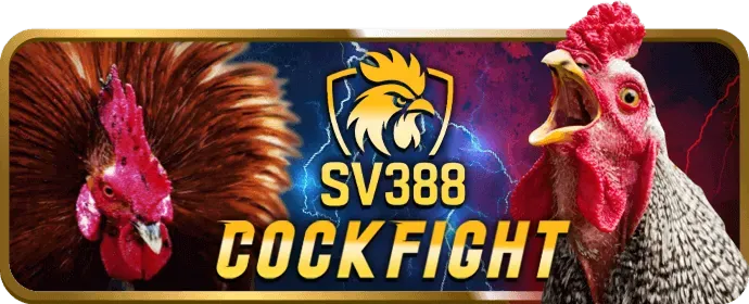 Hướng dẫn nhận tiền thưởng 66king88 nhà cái
